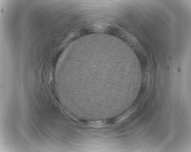 X0000087520131200705112016