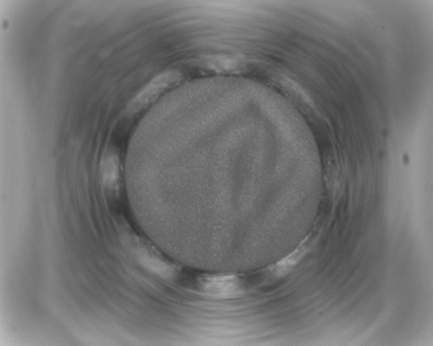 X0000087520132200705112016