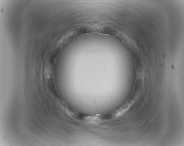 X0000087520133200705112016