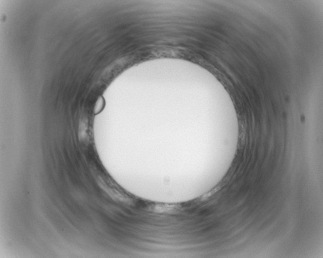 X0000087520134200705112016