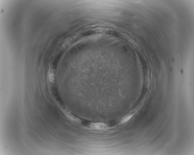 X0000087520137200705112016