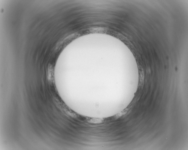 X0000087520138200705112016