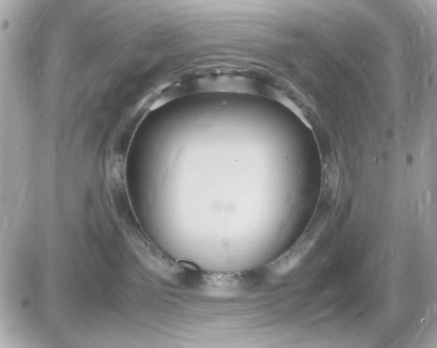 X0000087520141200705112015