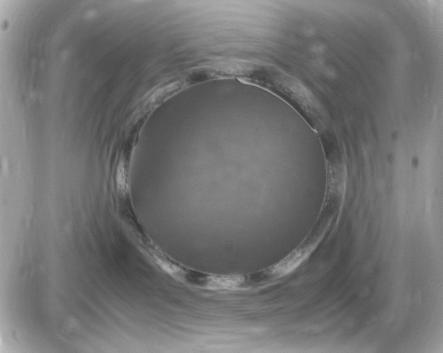 X0000087520143200705112015