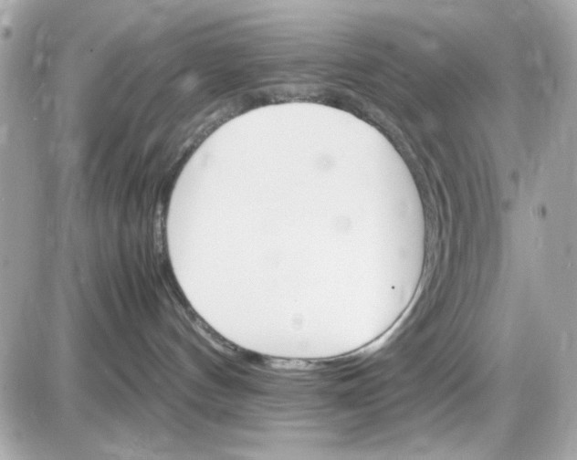 X0000087520144200705112015