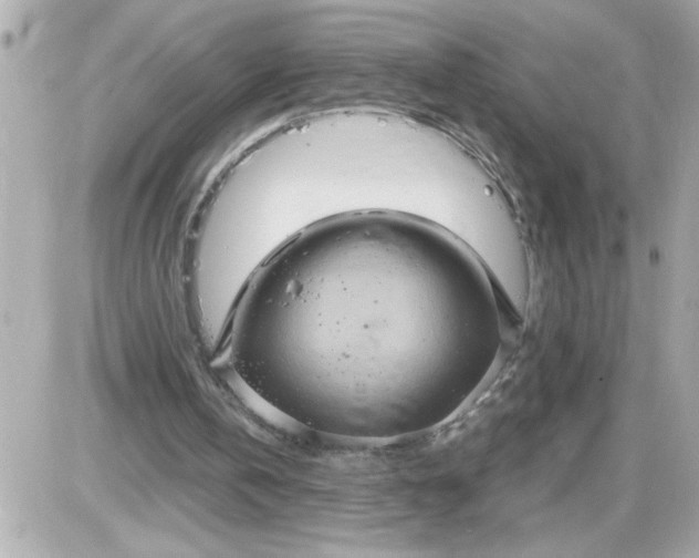 X0000087520146200705112015