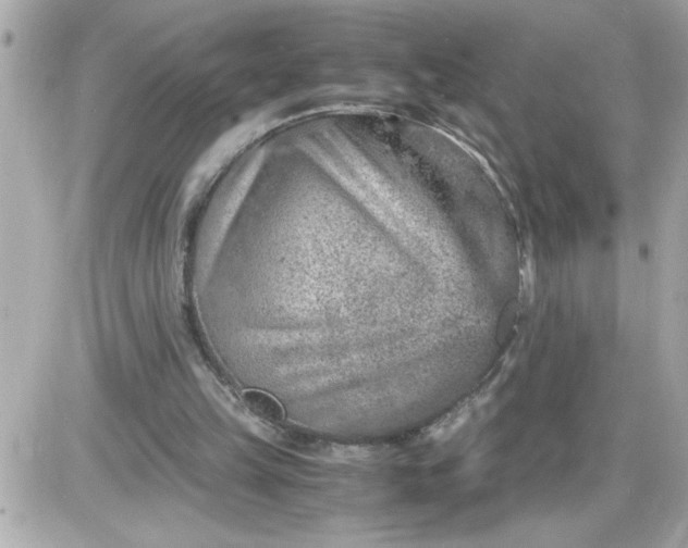 X0000087520149200705112015