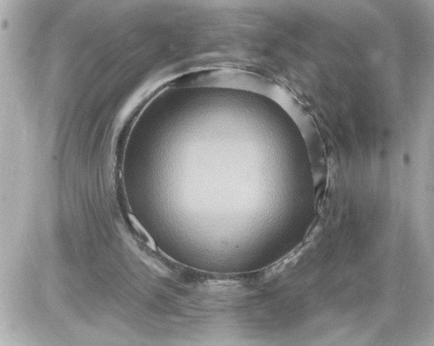 X0000087520150200705112015