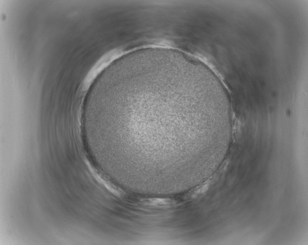 X0000087520151200705112015