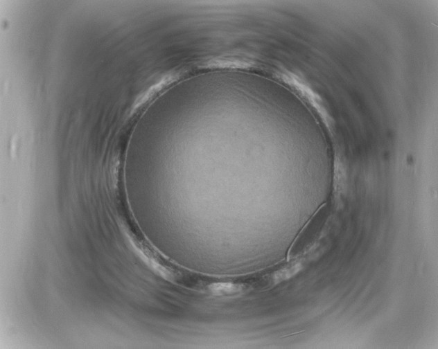 X0000087520153200705112015