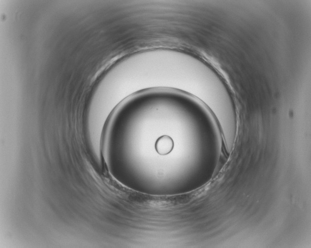 X0000087520154200705112015