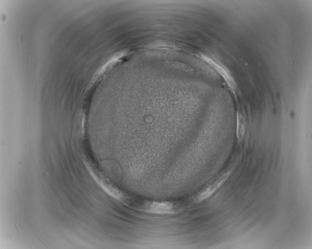 X0000087520157200705112015