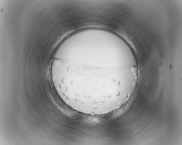 X0000087520159200705112015