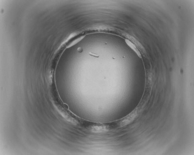 X0000087520160200705112015