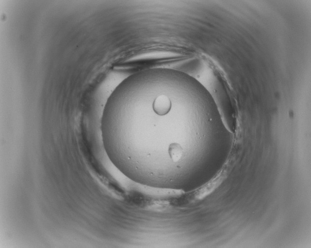 X0000087520162200705112015