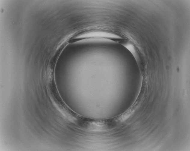 X0000087520164200705112015