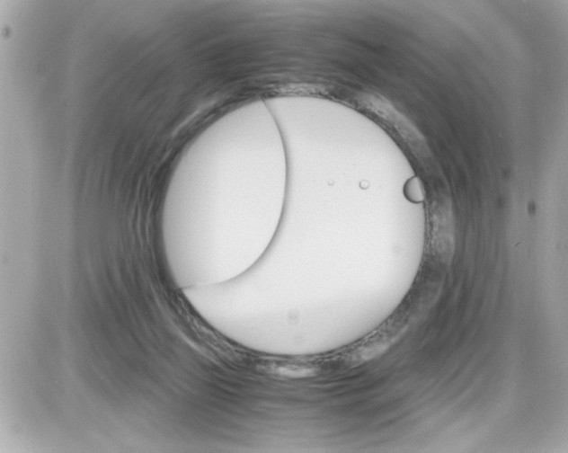 X0000087520165200705112015