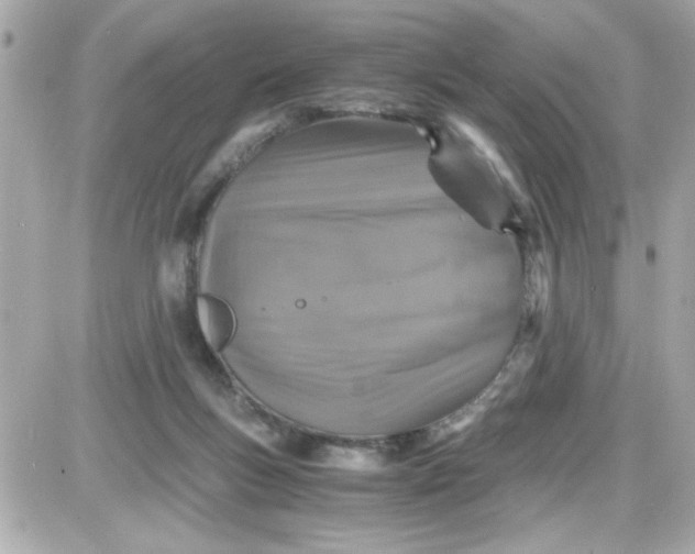 X0000087520167200705112015