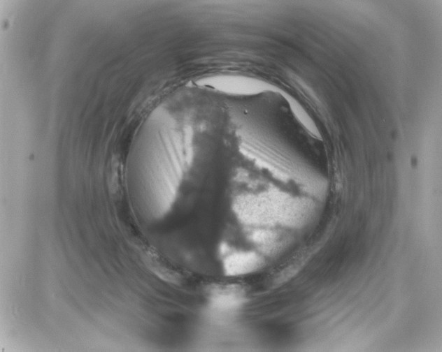 X0000087520169200705112015