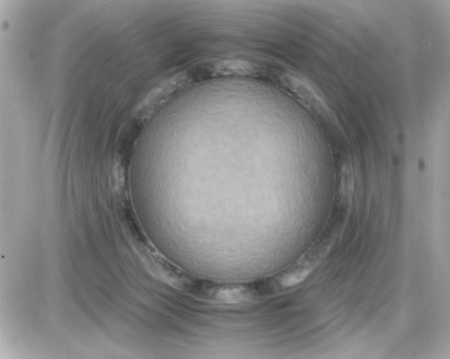 X0000087520173200705112015