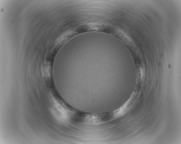 X0000087520174200705112015