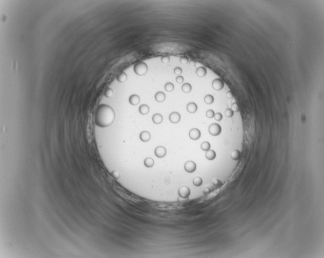 X0000087520175200705112015