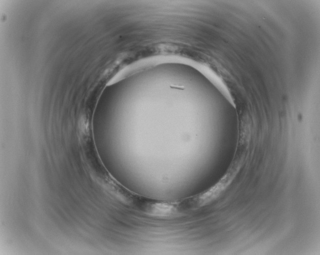 X0000087520176200705112015