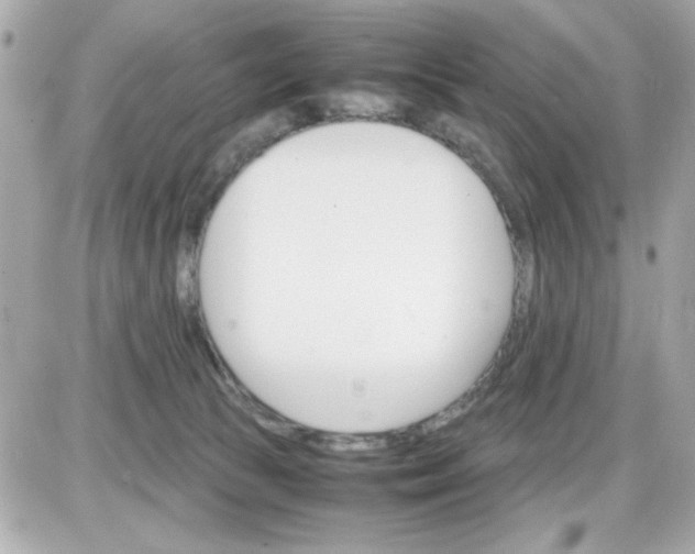 X0000087520177200705112015