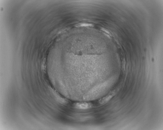 X0000087520181200705112015