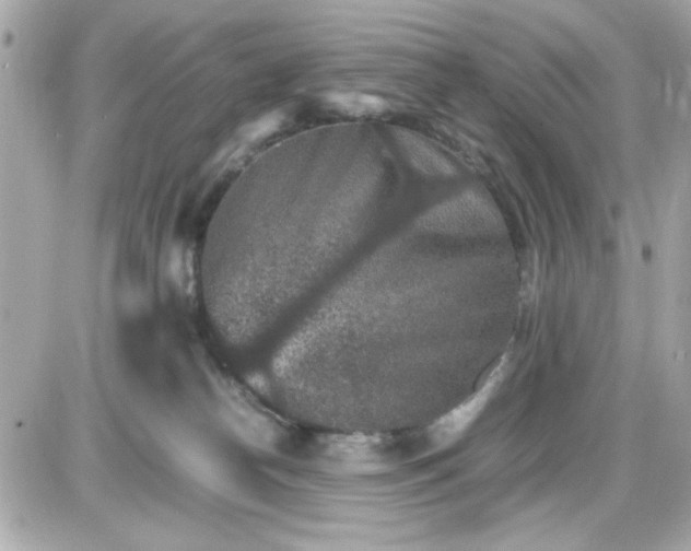 X0000087520182200705112015