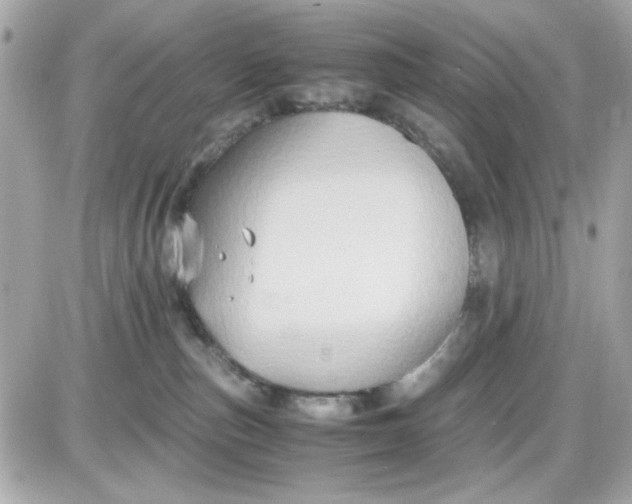 X0000087520187200705112015