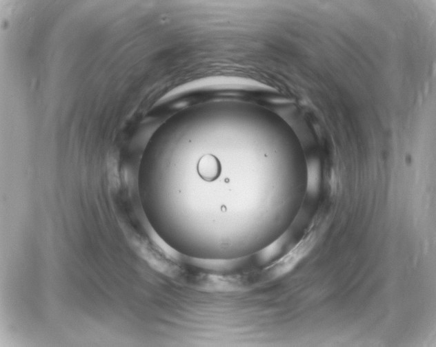 X0000087520188200705112015