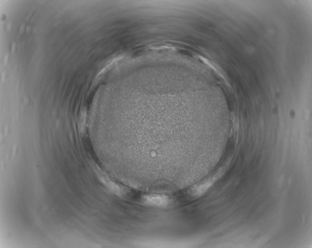 X0000087520189200705112015