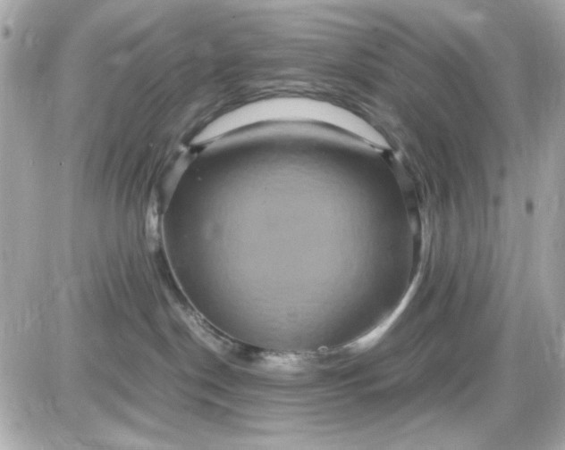 X0000087520190200705112015