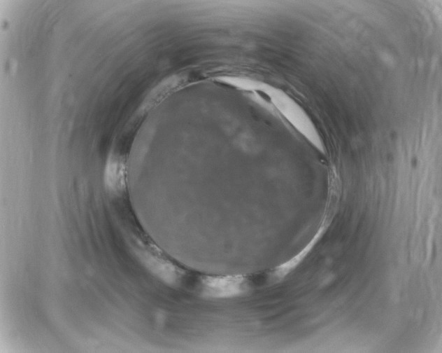 X0000087520191200705112015