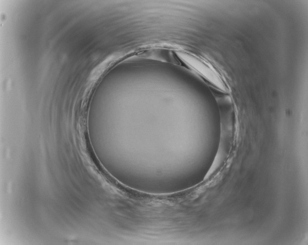 X0000087520193200705112015