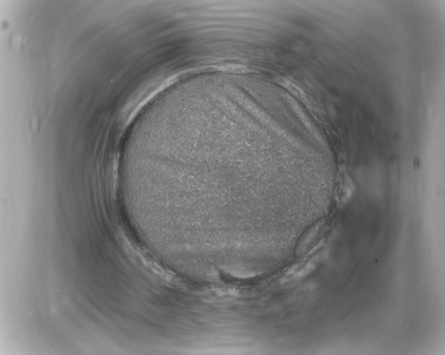 X0000087520194200705112015