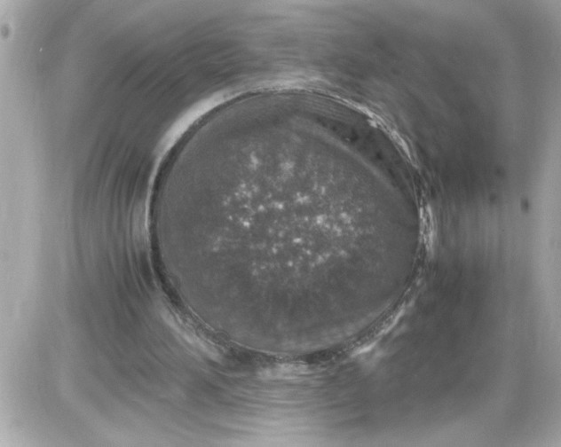 X0000087520196200705112015