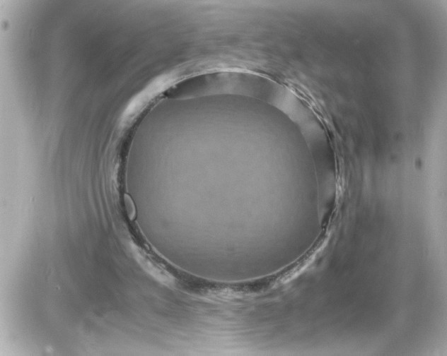 X0000087520197200705112015