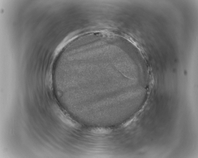 X0000087520198200705112015