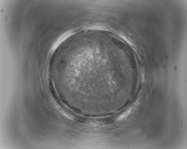 X0000087520199200705112015