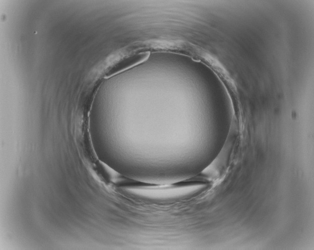 X0000087520201200705112015