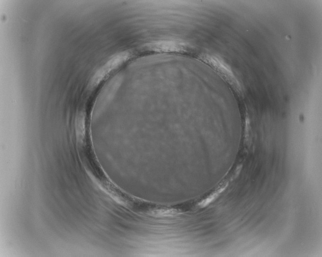 X0000087520202200705112015