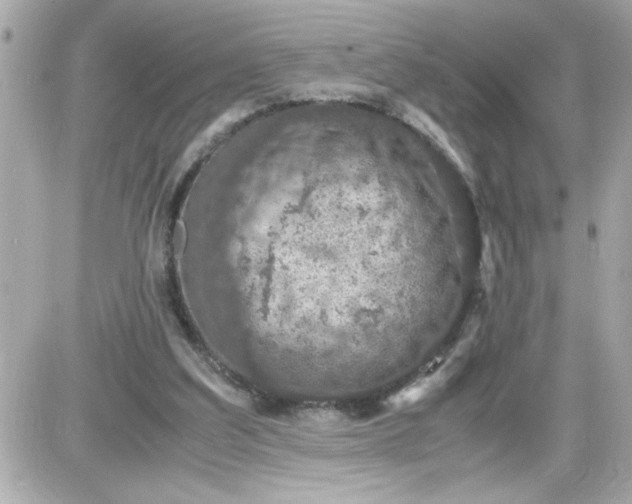 X0000087520203200705112014