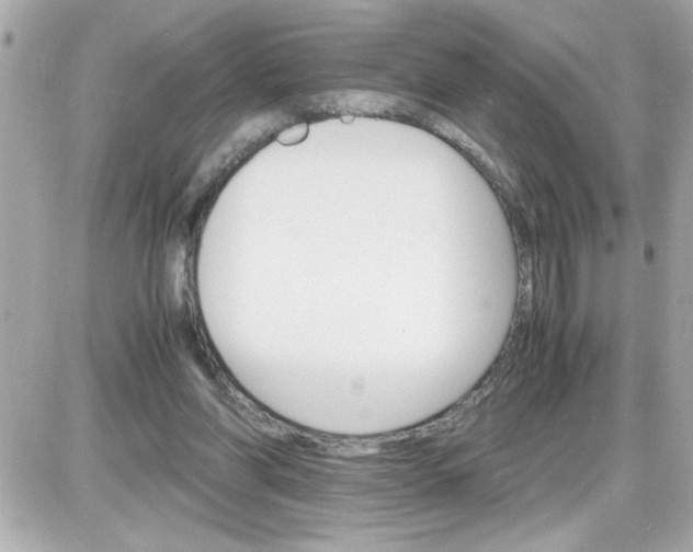 X0000087520206200705112014