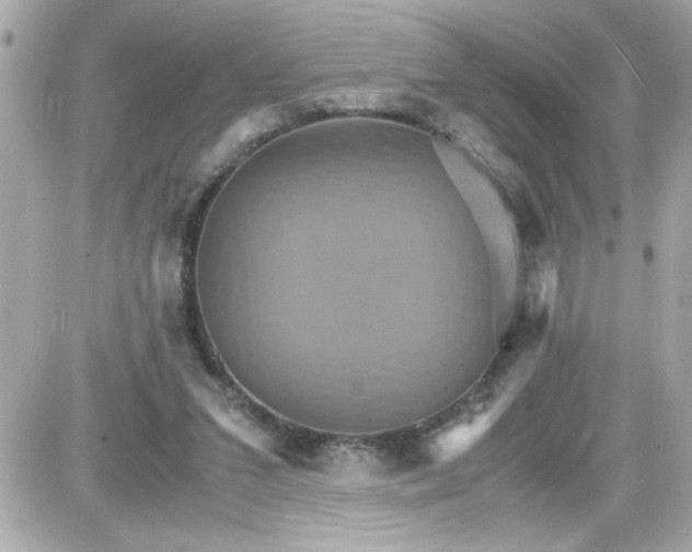 X0000087520207200705112014