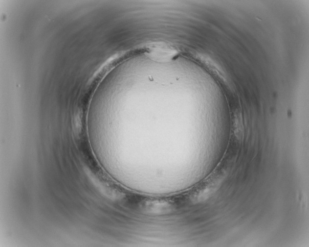 X0000087520208200705112014