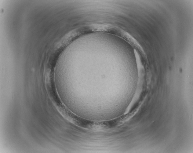 X0000087520209200705112014