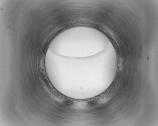 X0000087520210200705112014