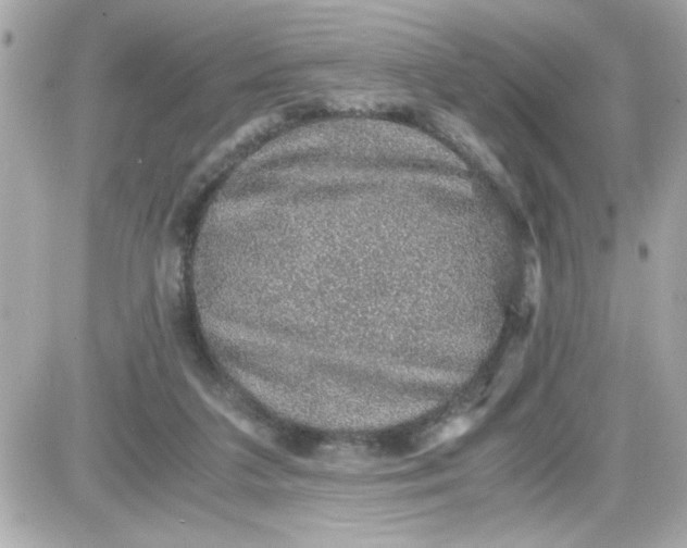 X0000087520211200705112014